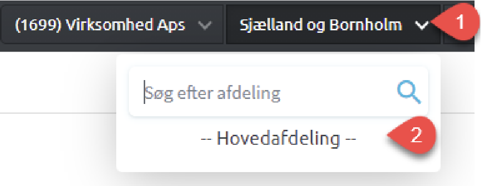 soegvirksomhed_netkey.png